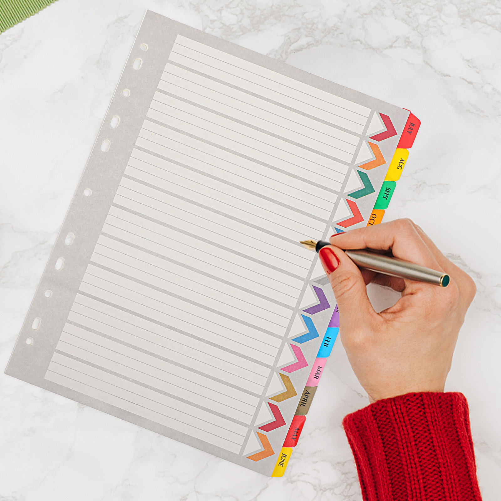 12 ورقة فواصل فهرس قابلة للفصل - مراجعة Tab Divider A4 وسعره